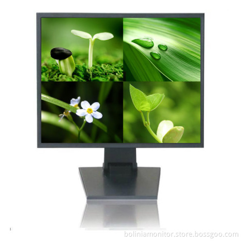 19 Inch Quad-Filter Monitor